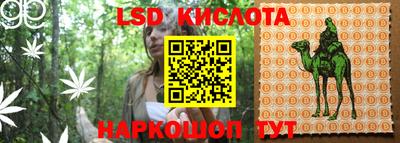 дживик Рузаевка