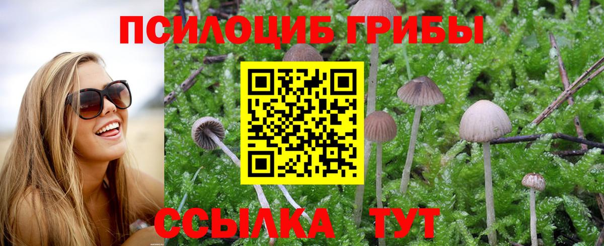 как найти закладки  Вход с VPN  Сафоново  Псилоцибиновые грибы Cubensis 